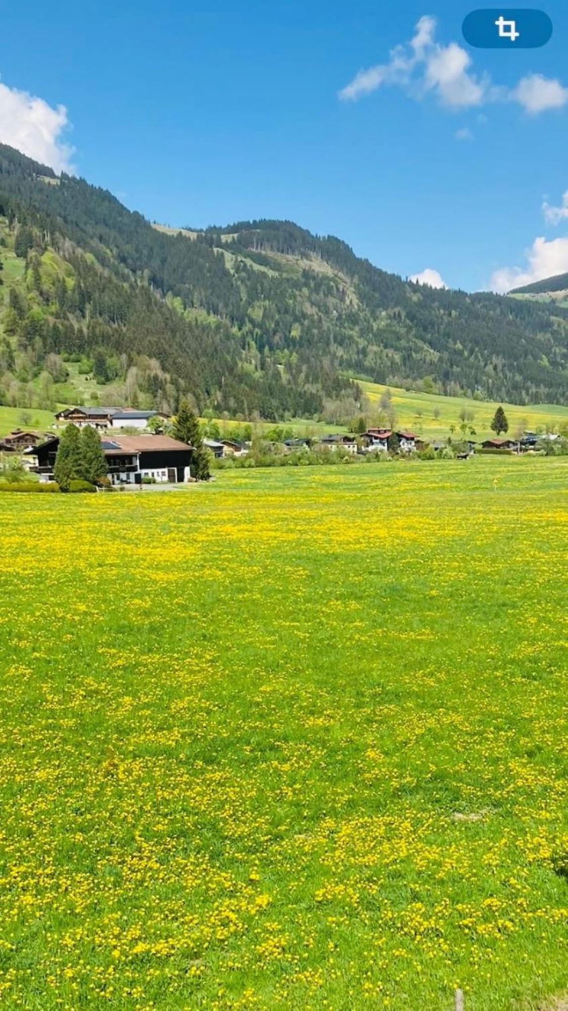 Landhaus Feller Reith bei Kitzbühel Exterior foto